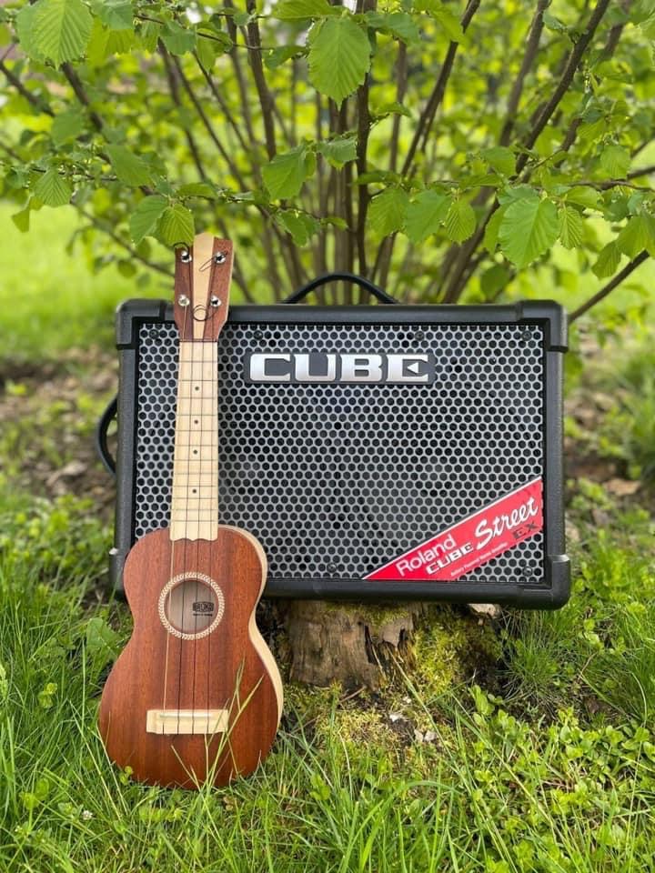 Ukulele │ Sommerkurs für Einsteiger*innen